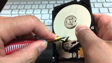 hard drive torx screw size.